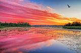 Rideau Canal At Sunrise_35585-90